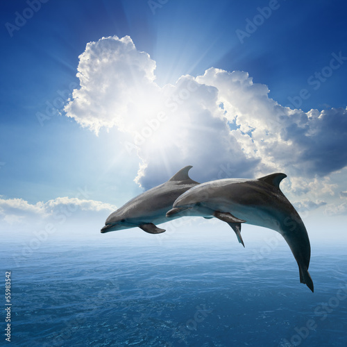Naklejka ścienna Skaczące delfiny na tle pięknego oceanu i nieba