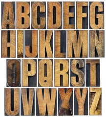 Wall Mural - vintage wood type alphabet