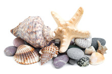 Small Heap Of Sea Stones And Beige Cockleshell