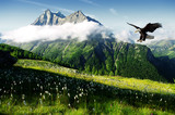 Fototapeta Góry - eagle in the Alps