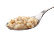 Spoon of oats porridge