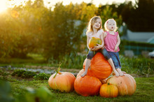 Two Little Sisters Sitting On Huge Pumpkins
