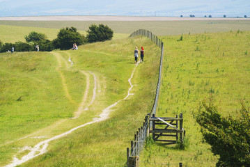 Poster - south downs