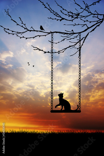 Obraz w ramie Cat on swing