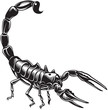 Scorpion, black and white style