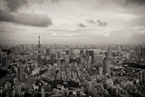 Fototapeta Miasta - Tokyo Skyline