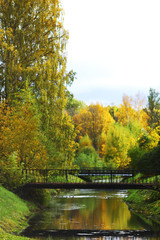 Canvas Print - autumn trees