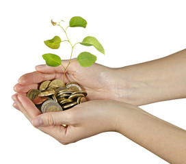 Investing to green business