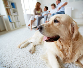 Canvas Print - Cute dog