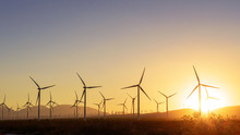 Thousands Of Wind Turbines At Sunset