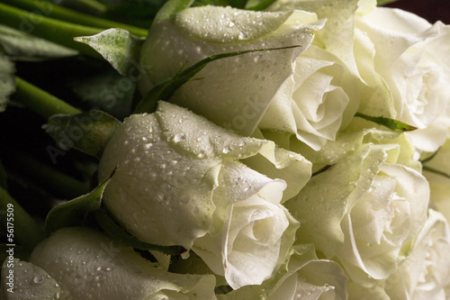 Naklejka na meble Bouquet of white roses