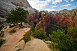 Scenery from the Angels Landing hike at Zion National Park in Ut