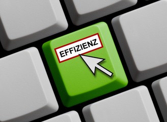 Effizienz online