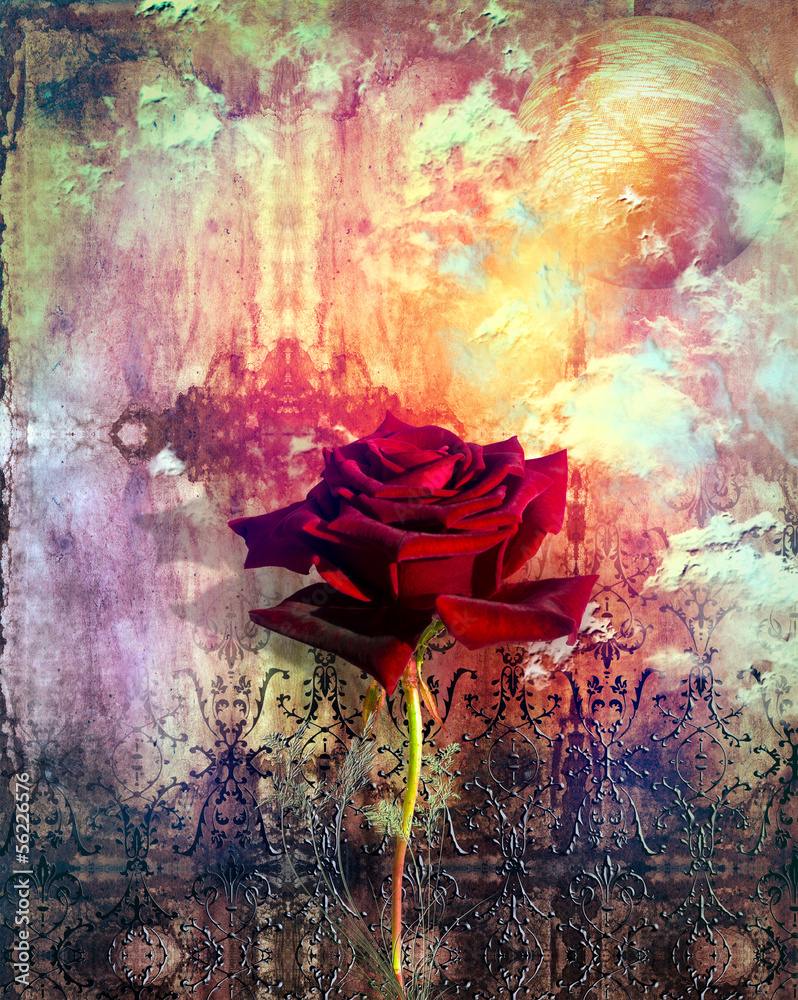 Red rose in the background grunge - obrazy, fototapety, plakaty 