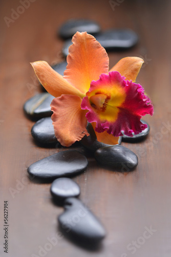 Naklejka na szybę Pile of zen stones with orange orchid on wooden board