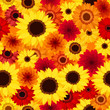 Seamless background with autumn colorful flowers. Vector.