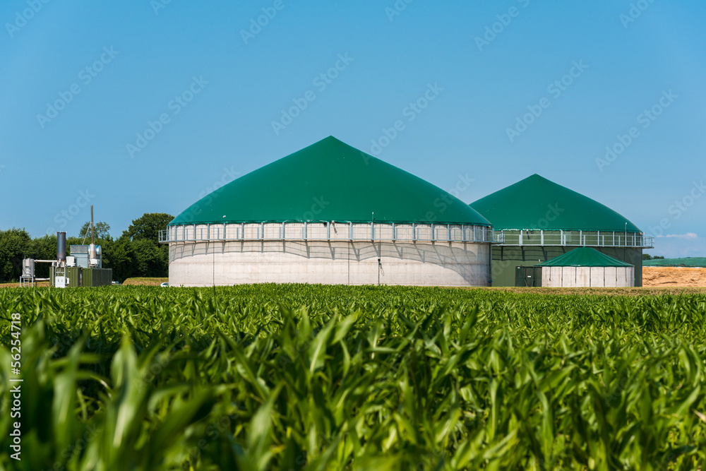 Biogas-Anlage mit Maisfeld 3085 - obrazy, fototapety, plakaty 