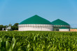 Biogas-Anlage mit Maisfeld 3085