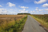 Fototapeta  - small country road
