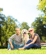 © Ljupco Smokovski - Smiling young couple hugging a labrador retreiver dog in a park