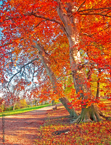 Obraz w ramie Nice autumnal scene