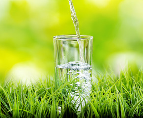 Sticker - Glass of water on nature background