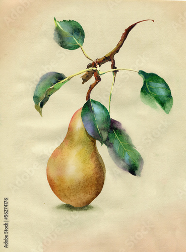 Naklejka na drzwi Yellow pears