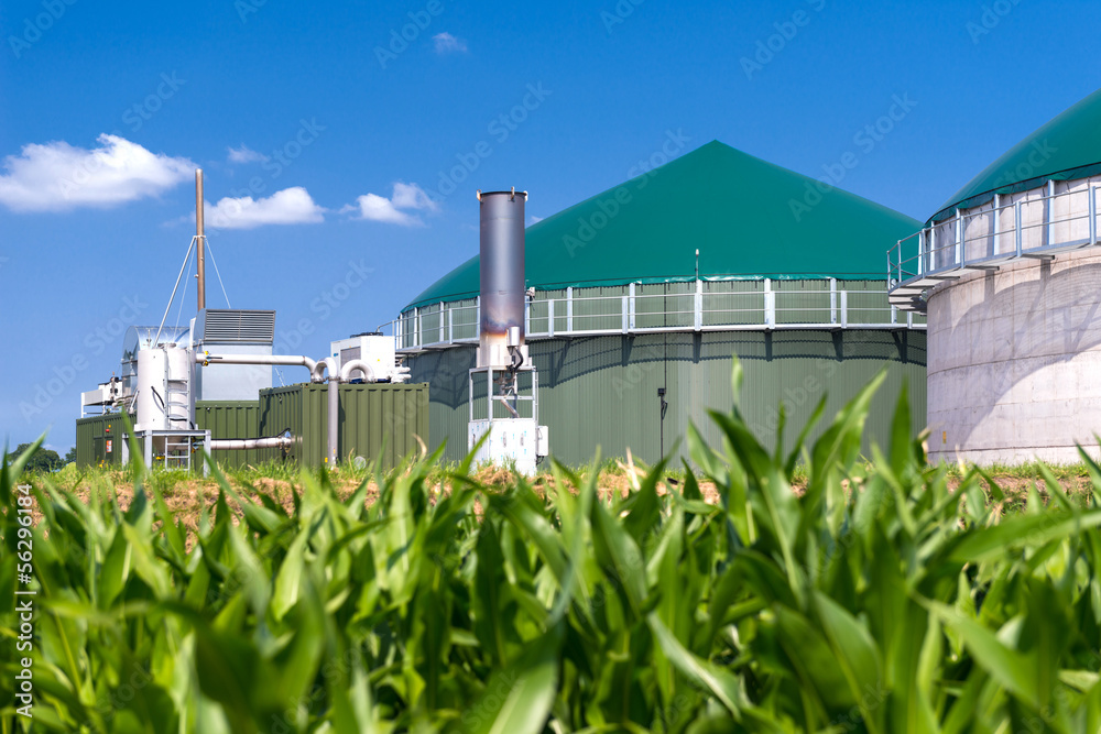 Biogasanlage mit Maisfeld 3137 - obrazy, fototapety, plakaty 
