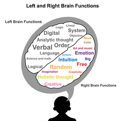 Wall Mural - Left and Right brain function illustration