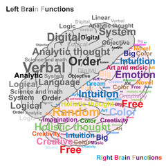 Wall Mural - Left and Right brain function illustration