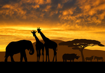 Naklejka safari słońce obraz