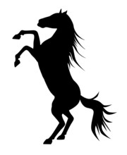 Rearing Up Graceful Black Silhouette Horse, Vector Against White