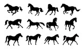 Fototapeta Konie - Horse silhouettes