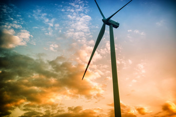 Wall Mural - wind turbines at sunset