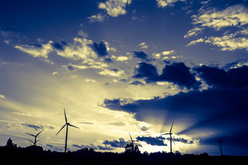 Wall Mural - wind turbines at sunset