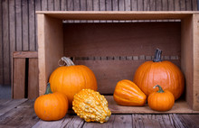 Assorted Pumpkins And Gourds