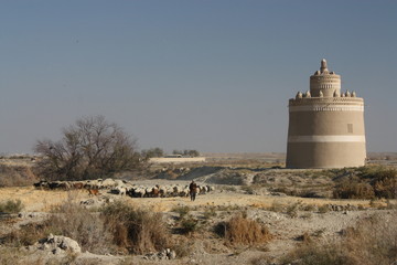 Poster - Pigeonnier en Iran