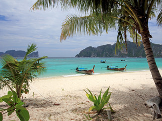 Phi Phi Island