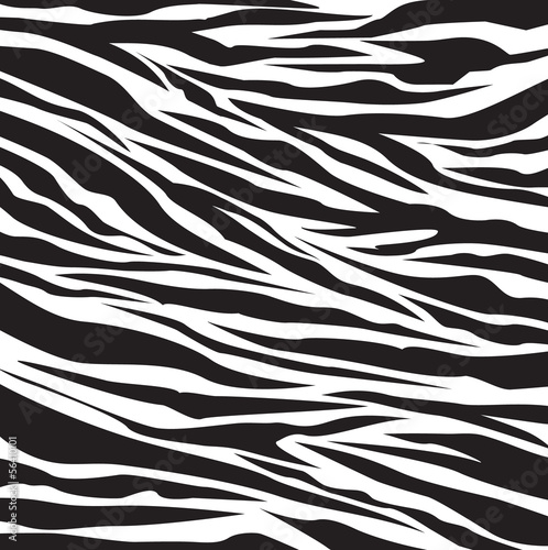 Plakat na zamówienie zebra pattern