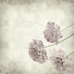  textured old paper background with