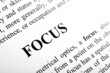 © OmegaTransFer - Focus