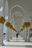 Fototapeta Dinusie - Mosquée d'Abu Dhabi
