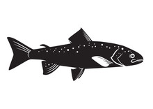 Trout Vector
