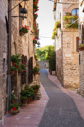 Naklejka na drzwi Strada medievale con fiori, Assisi