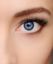 Closeup Beautiful Blue Woman Eye With Long Salon Lashes Looking