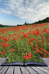 Wall Mural - creative concept pages of book stunning poppy field landscape un