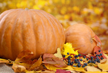 Pumpkins And Autumn Leaves, On Yellow Background