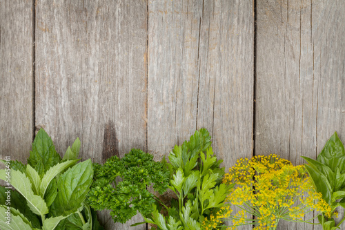 Naklejka na szybę Herbs selection