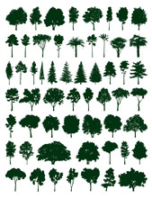 Trees Set
