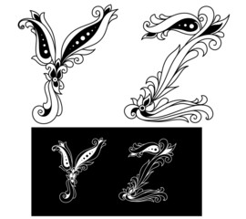 Poster - Capital letters Y and Z